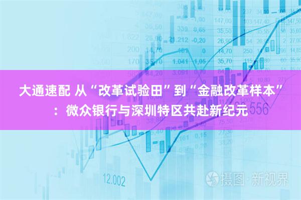 大通速配 从“改革试验田”到“金融改革样本”：微众银行与深圳特区共赴新纪元