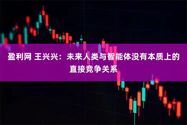 盈利网 王兴兴：未来人类与智能体没有本质上的直接竞争关系