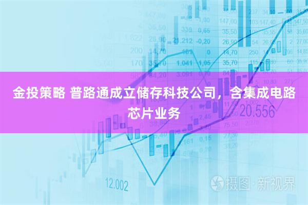金投策略 普路通成立储存科技公司，含集成电路芯片业务